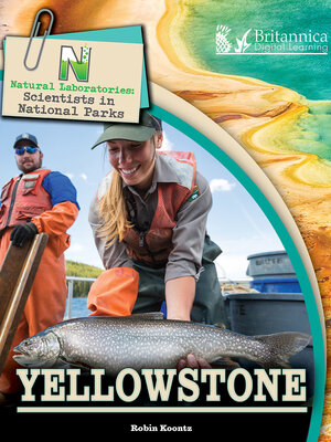 cover image of Yellowstone
